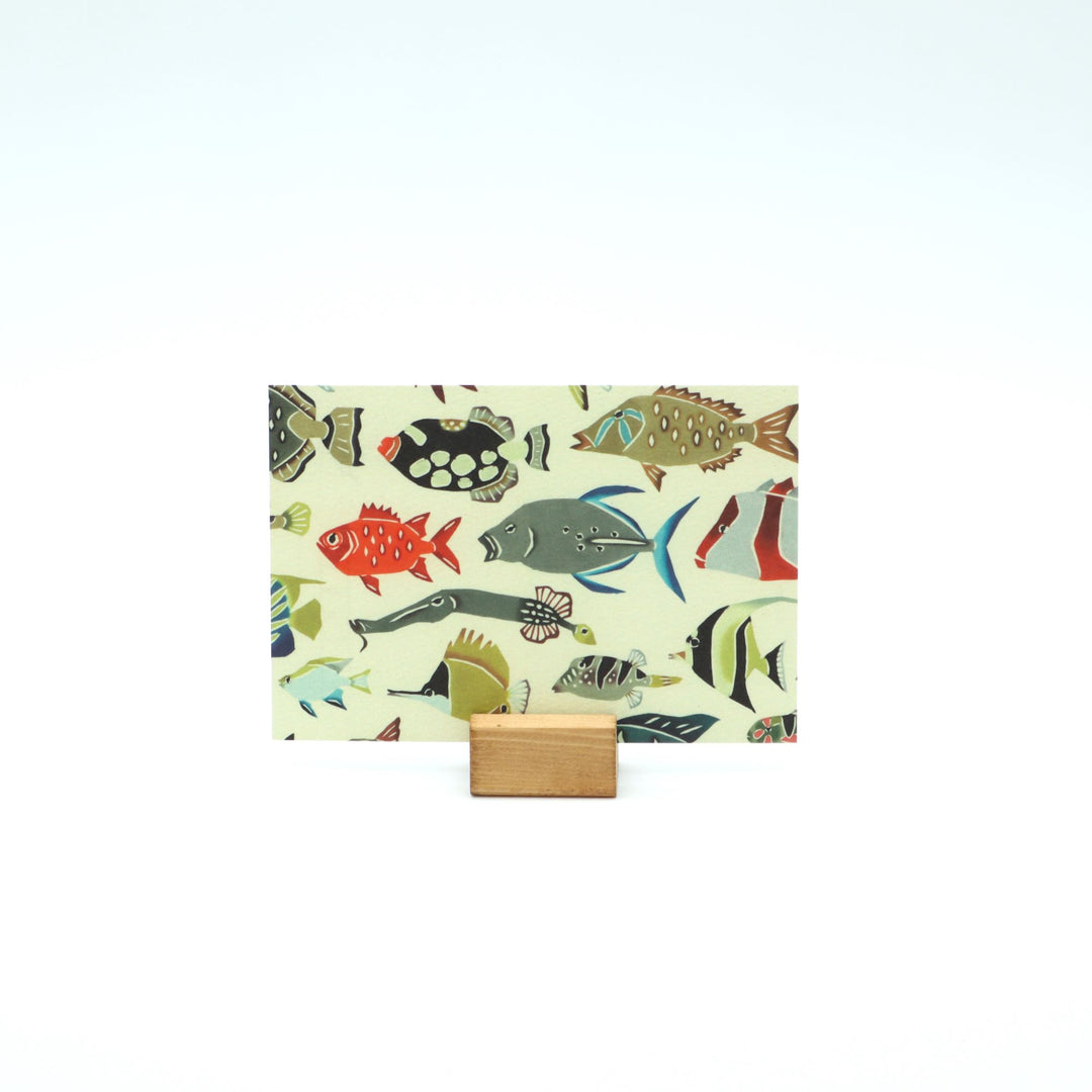 ポストカード リュウキュウの魚①