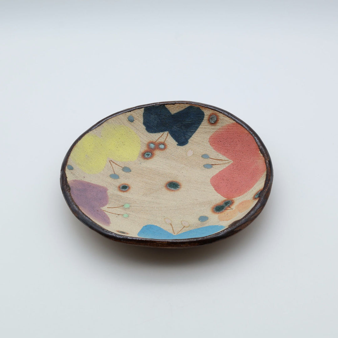 土の種 サラダ皿（カラフル蝶・平皿）｜モダンで美しい沖縄のやちむん - 大人の工芸品店 canosa