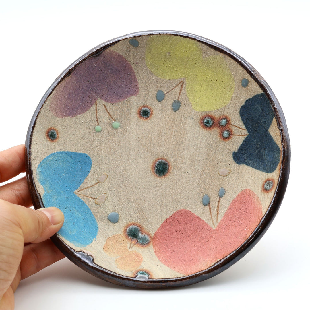 土の種 サラダ皿（カラフル蝶・平皿）｜モダンで美しい沖縄のやちむん - 大人の工芸品店 canosa