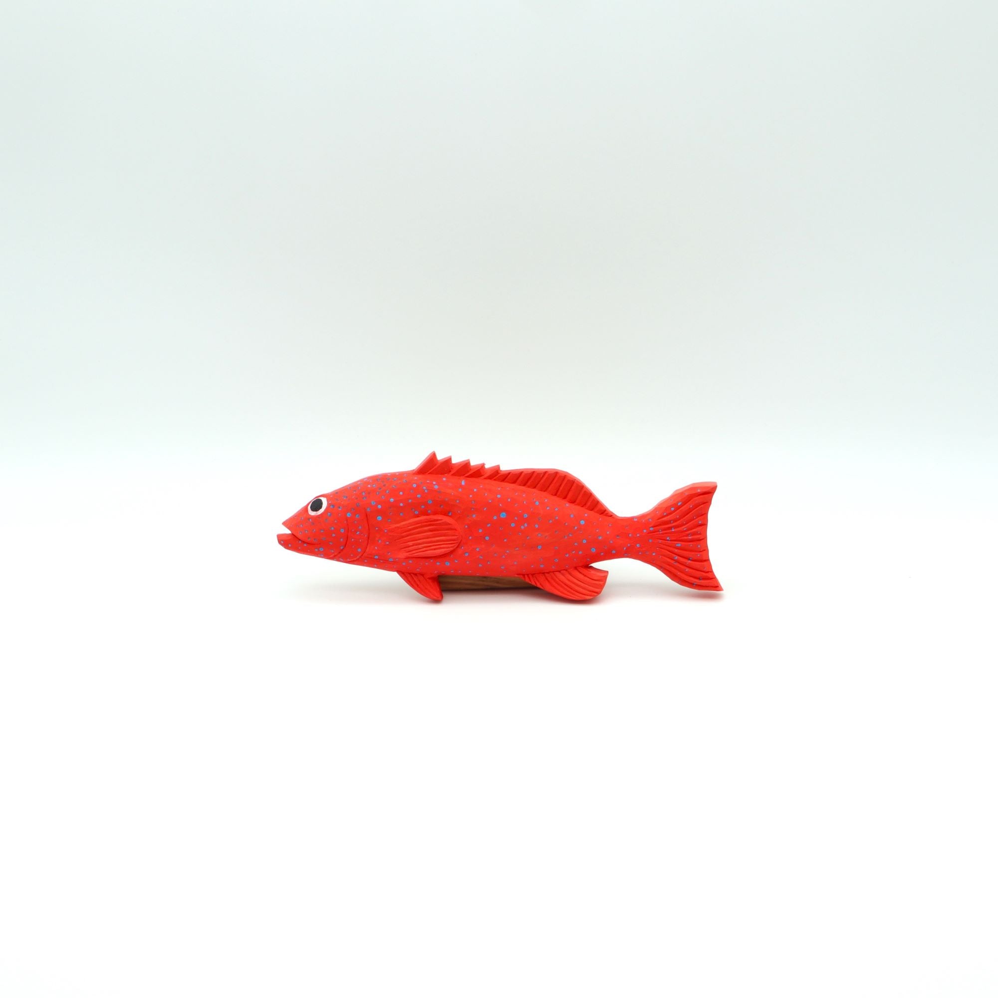 安本企画 沖縄の海の生き物シリーズ アカジン - canosa オンラインショップ 安本企画 沖縄の海の生き物シリーズ アカジン - canosa オンラインショップ