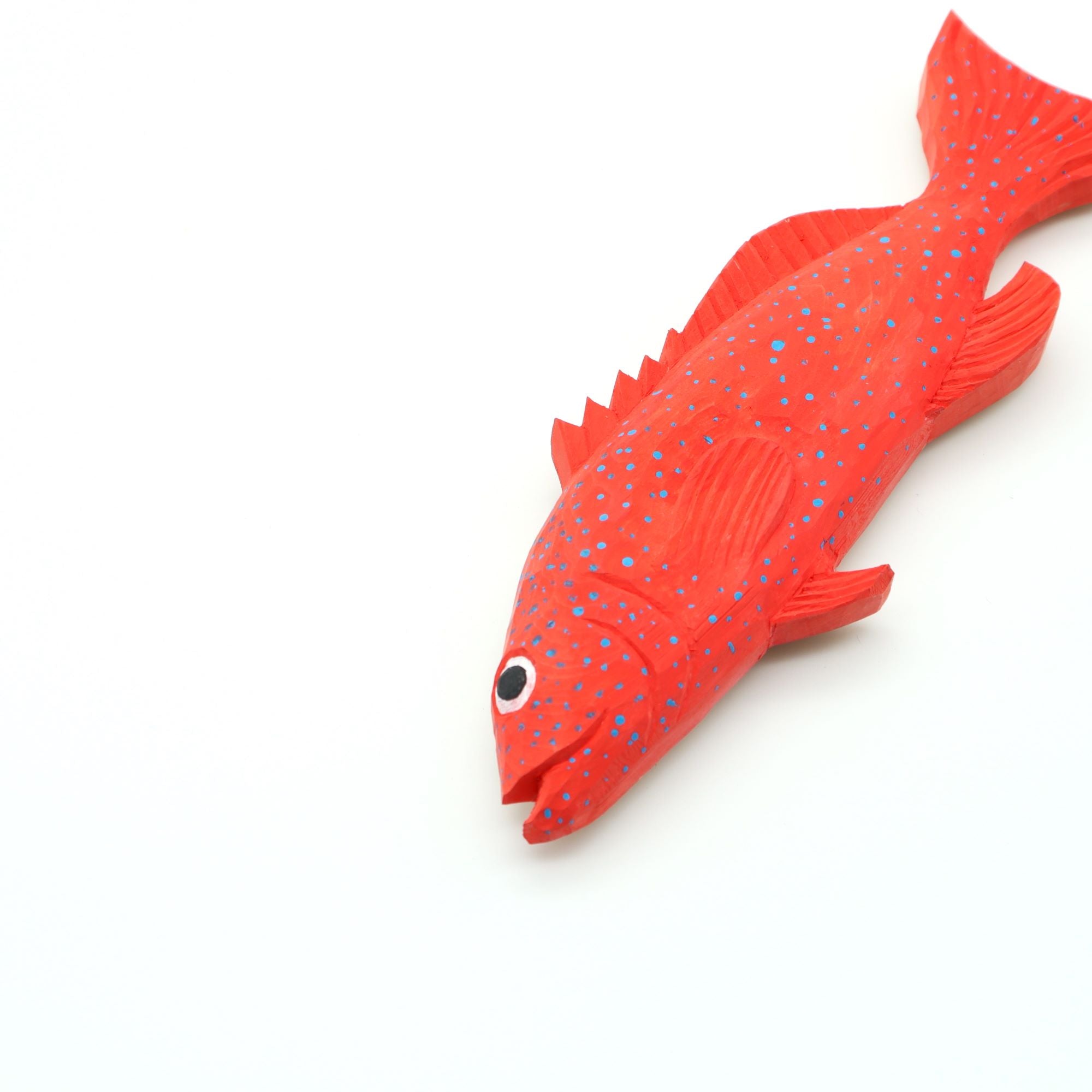 安本企画 沖縄の海の生き物シリーズ アカジン - canosa オンラインショップ 安本企画 沖縄の海の生き物シリーズ アカジン - canosa オンラインショップ
