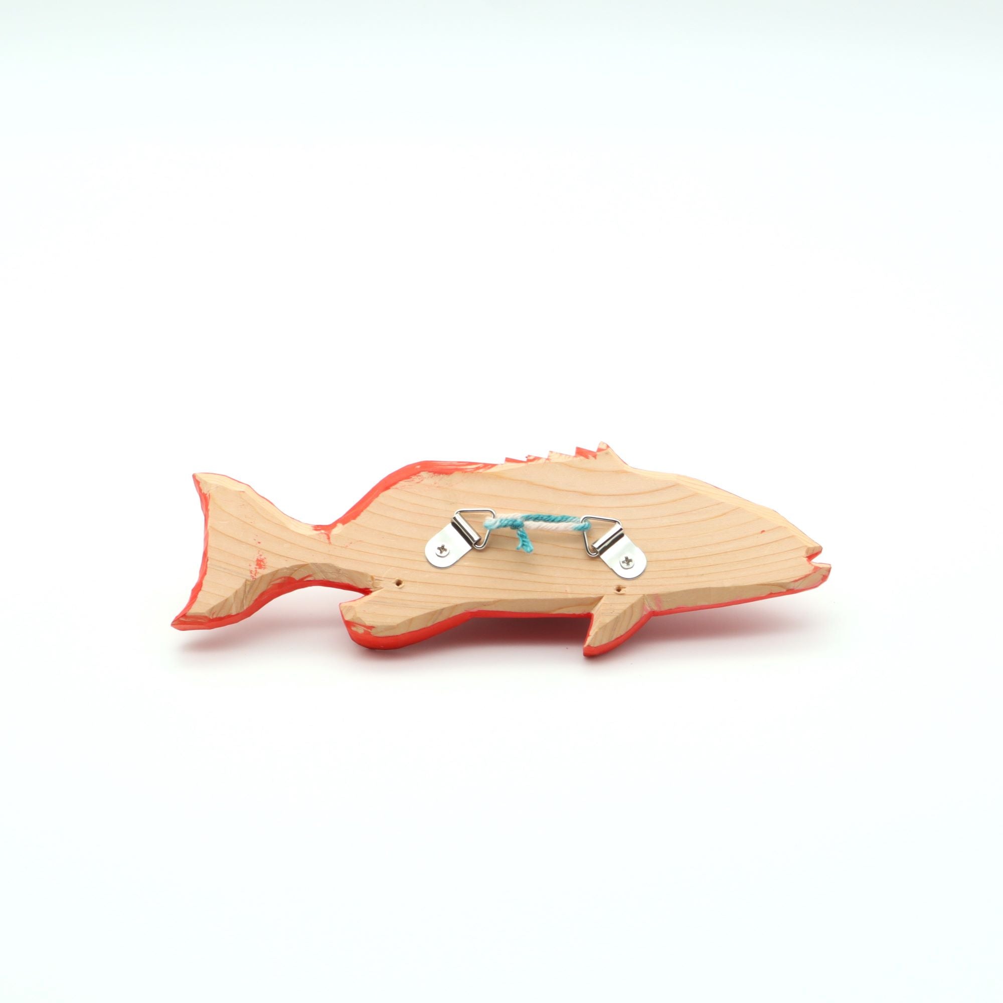 安本企画 沖縄の海の生き物シリーズ アカジン - canosa オンラインショップ