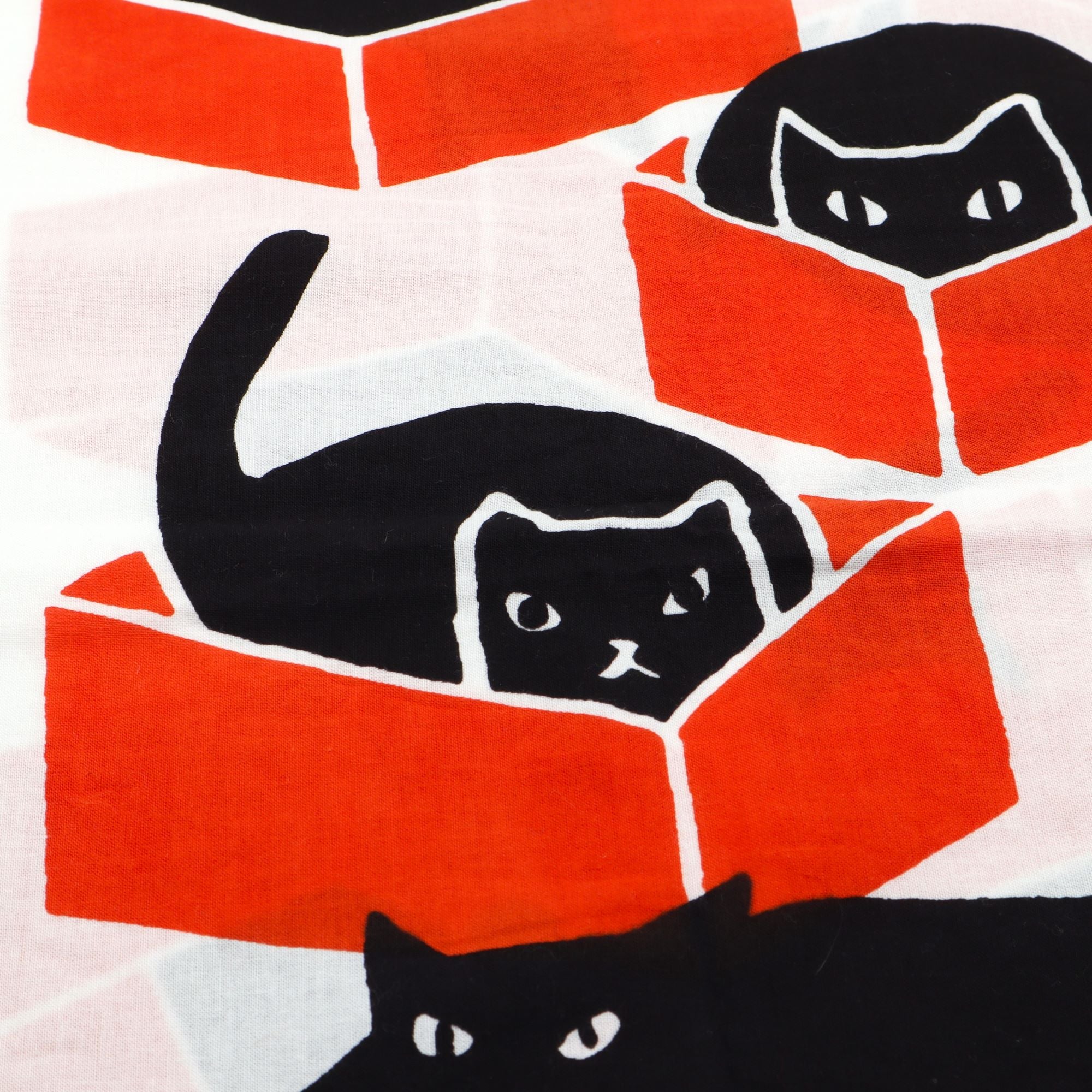 沖縄 Doucatty 手ぬぐい 箱ねこorange – canosa