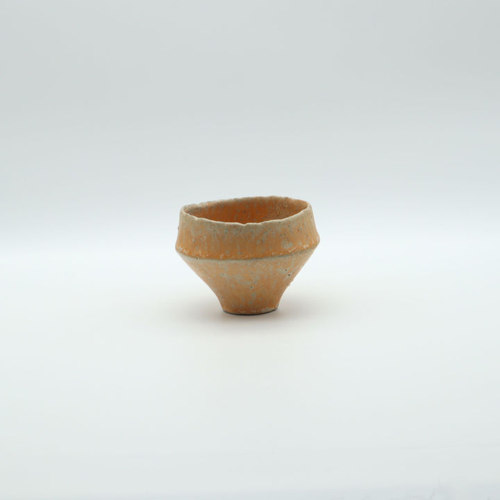 チタンカップ　M19