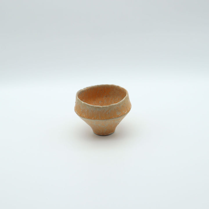 チタンカップ　M19