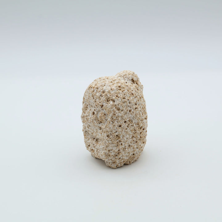 那覇市の「スタジオde-jin」による琉球石灰岩（粟石）の石獅子「フーガワイ ミニ」。珊瑚や貝殻が堆積してできた石灰岩特有の、砂浜のような茶色い色合いと気泡を多く含んだ軟らかな質感が、一体一体異なる手彫りの表情に温かみを添えている。