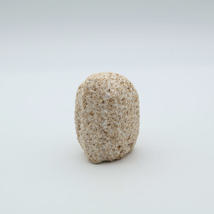 那覇市の「スタジオde-jin」による琉球石灰岩（粟石）の石獅子「フーガワイ ミニ」。珊瑚や貝殻が堆積してできた石灰岩特有の、砂浜のような茶色い色合いと気泡を多く含んだ軟らかな質感が、一体一体異なる手彫りの表情に温かみを添えている。