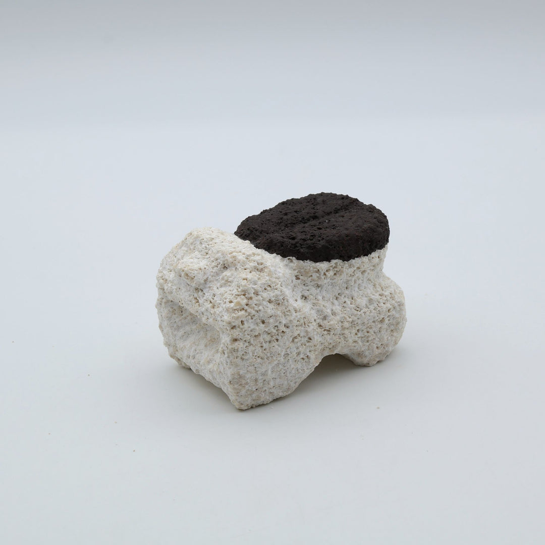 スタジオde-jinの琉球石灰岩の石獅子、コーヒー豆が特徴の限定品。