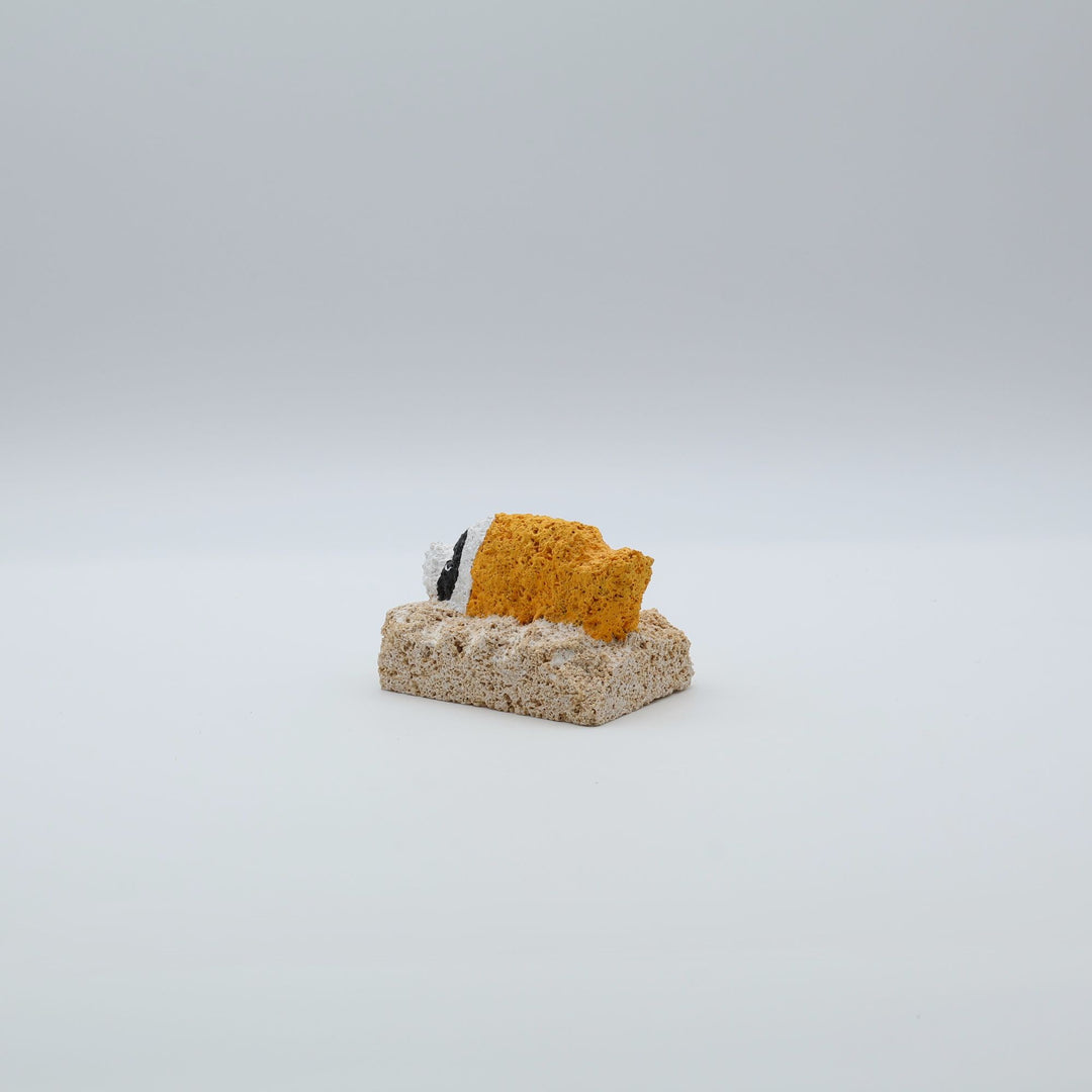 スタジオde-jinの琉球石灰岩の石彫り、チョウチョウウオの仲間らしく黄色が特徴的な沖縄のさかなシリーズ。限定品。1点もの。