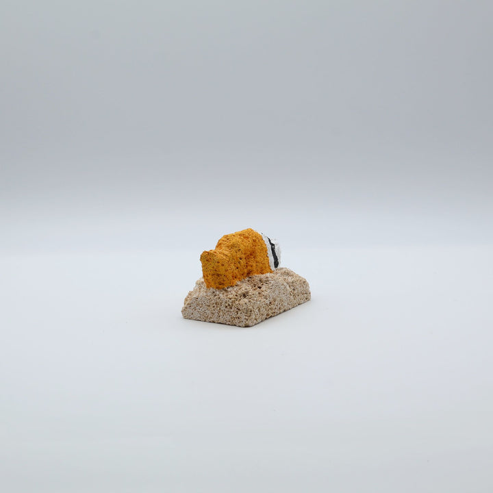 スタジオde-jinの琉球石灰岩の石彫り、チョウチョウウオの仲間らしく黄色が特徴的な沖縄のさかなシリーズ。限定品。1点もの。
