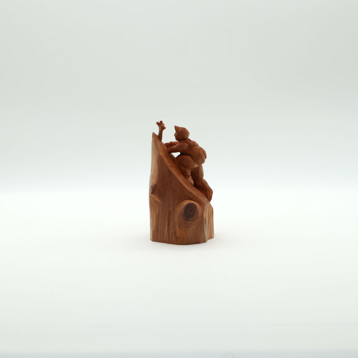 山と私　”崖の一輪”