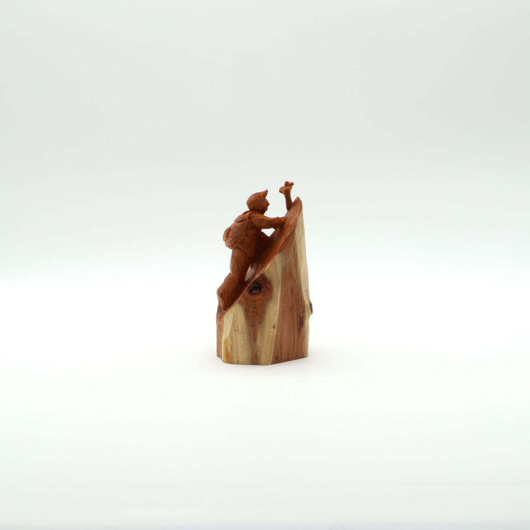 山と私　”崖の一輪”