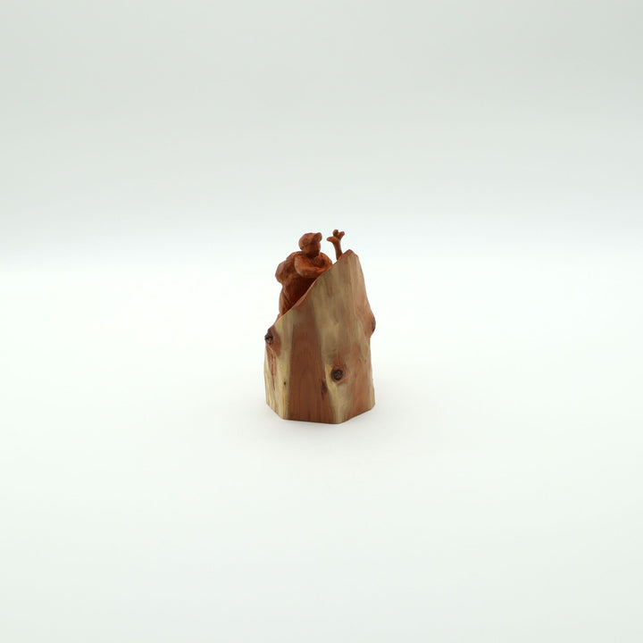 山と私　”崖の一輪”