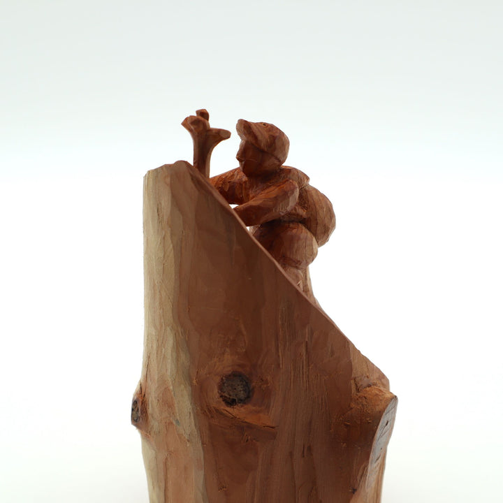 山と私　”崖の一輪”