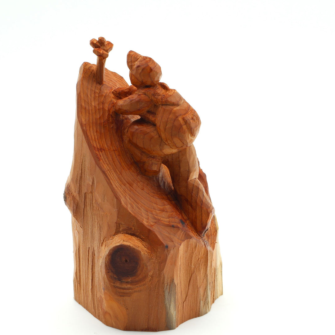 山と私　”崖の一輪”