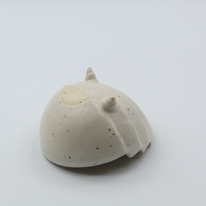 沖縄の新しいやちむん　陶factory509　貝がら豆小鉢　白