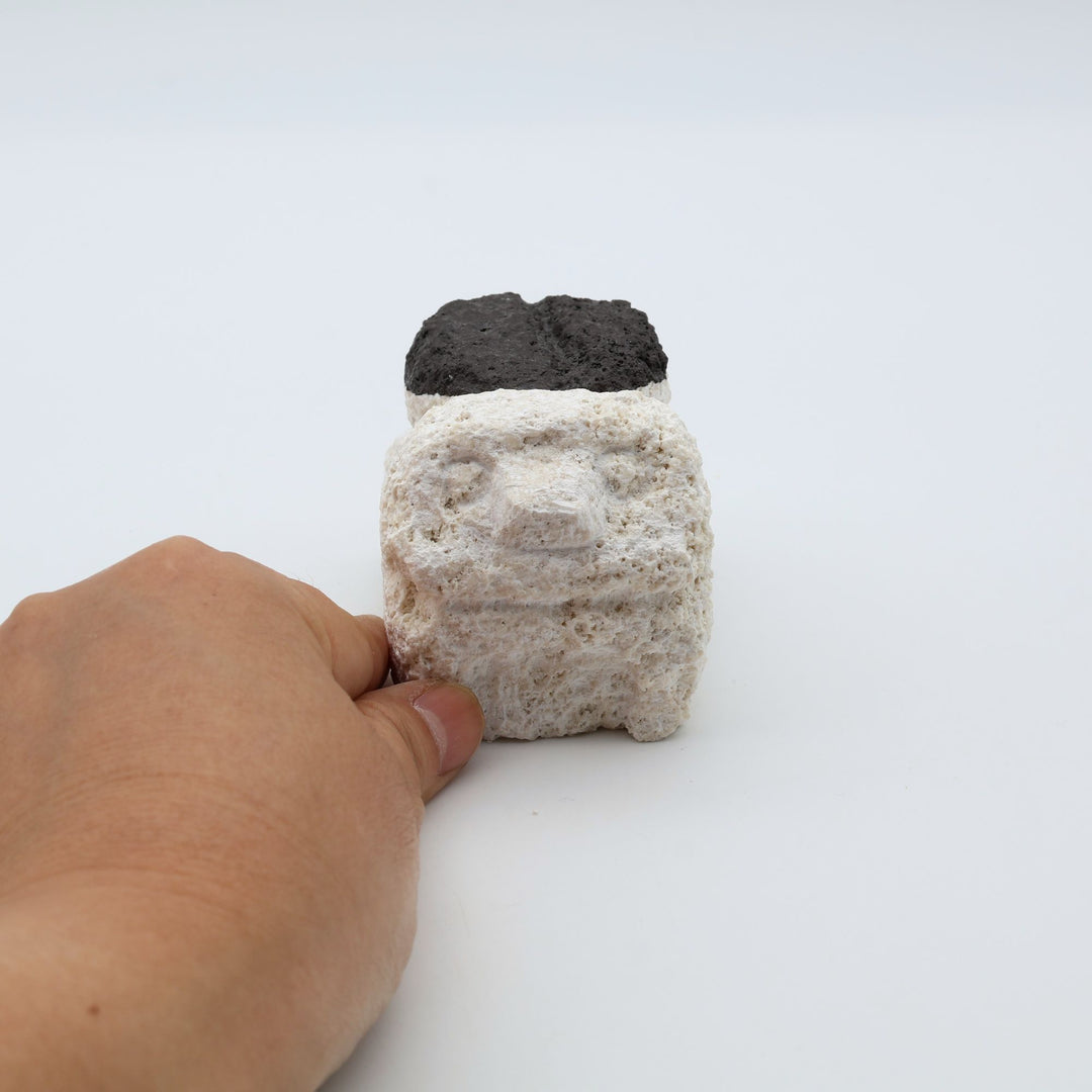 スタジオde-jinの琉球石灰岩の石獅子、コーヒー豆が特徴の限定品